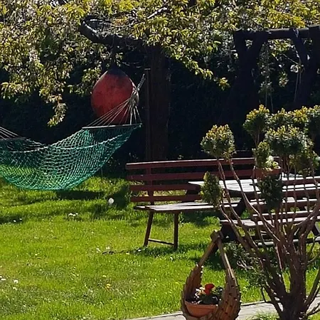 Goscinne Irena * Mieroszyno