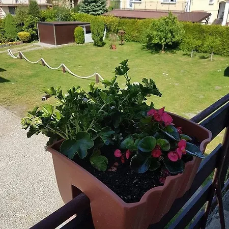 Goscinne Irena Privatunterkunft Mieroszyno