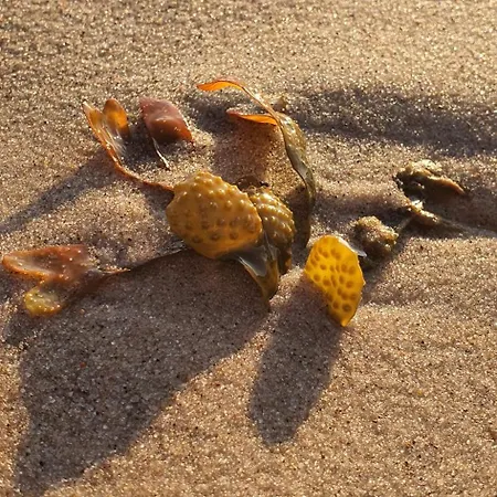 Privatunterkunft Goscinne Irena Mieroszyno