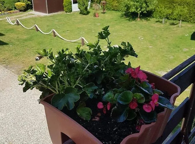 Goscinne Irena Habitación en casa particular Mieroszyno